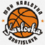 https://img.hubunique.com/img/basketball/team/0c2f73d2ab7041cf90029a20deff7f17.gif